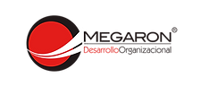 Desarrollo Organizacional